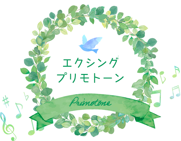 エクシング　プリモトーン